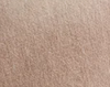 Color swatch