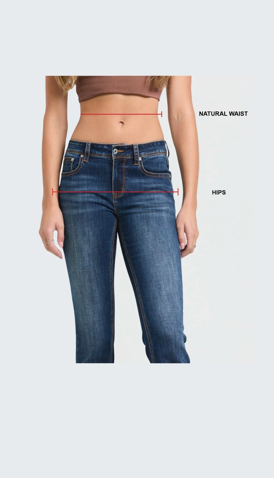 Waist and Hips